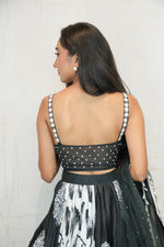 Embroidered Lehenga Set (Black)