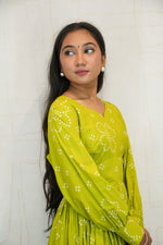Green Dress with Embroidered Motifs