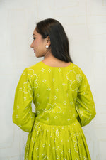 Green Dress with Embroidered Motifs