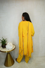 Punjabi Suit Set